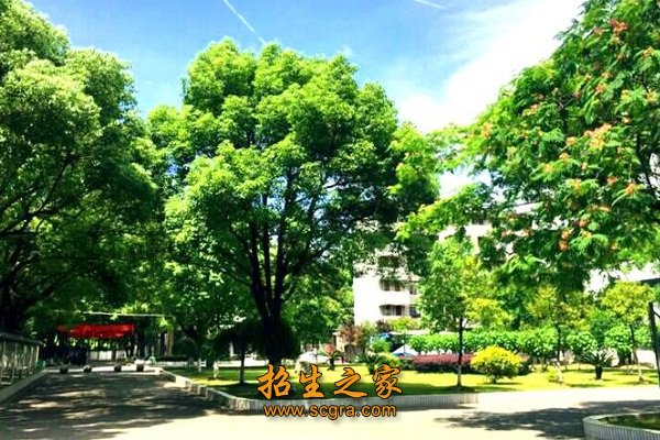 学校景色