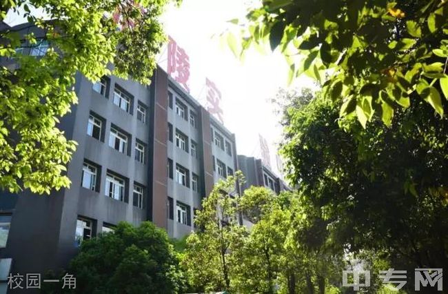 重庆涪陵实验中学校园一角