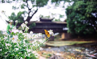 四川文化产业职业学院旅游管理专业招生简介