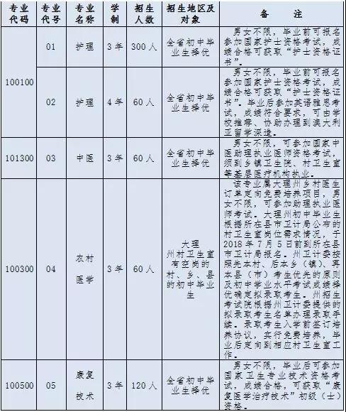 大理护理职业学院招生计划2