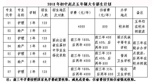 大理护理职业学院招生计划