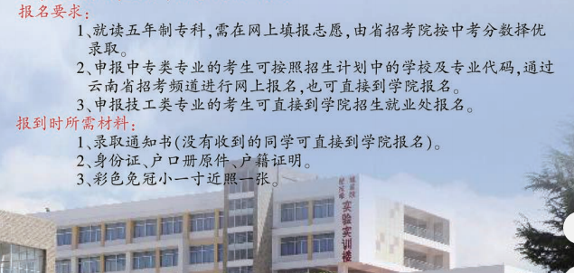 楚雄技师学院招生政策